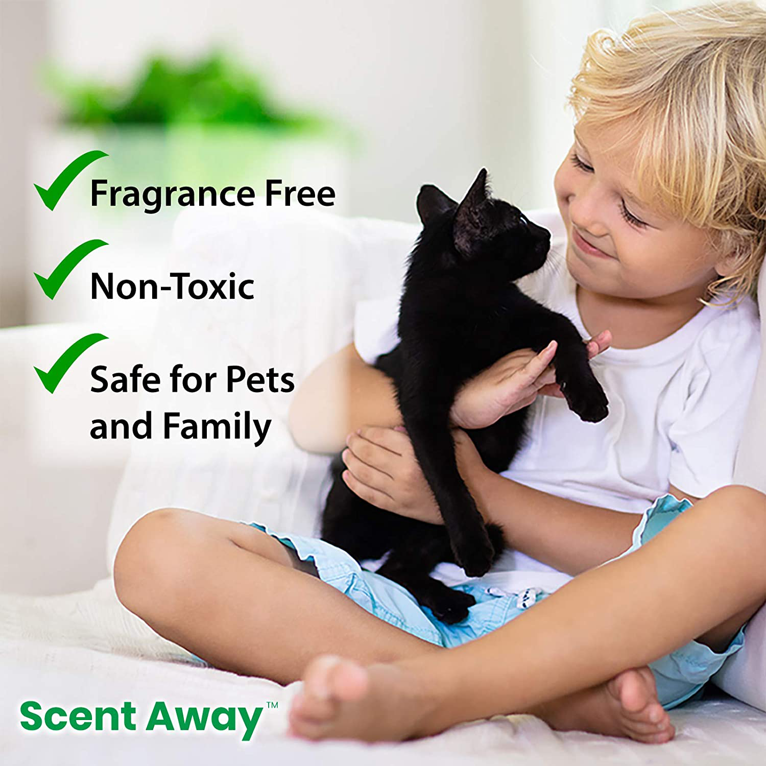 SCENT AWAY Cat Deodorizer| Fragrance Free Cat Litter Deodorizer with Active Carbon, Cat Box Odor Eliminator| Litter Box Deodorizer Animals & Pet Supplies > Pet Supplies > Cat Supplies > Cat Litter SCENT AWAY   