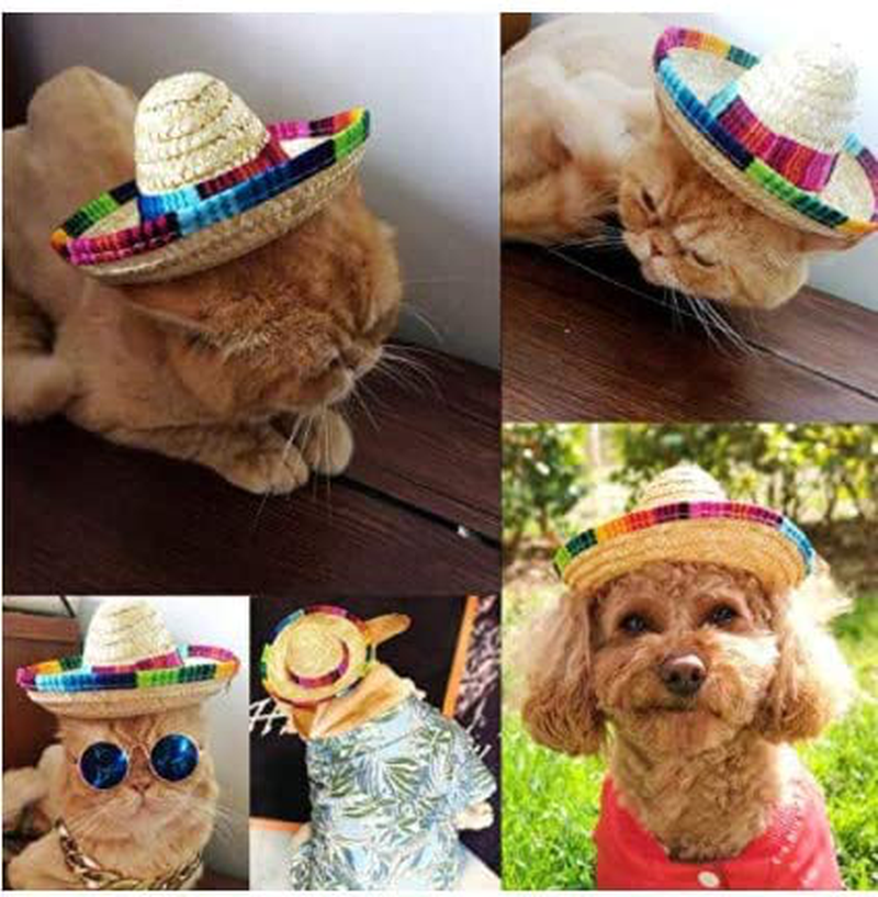 Cat Apparel Dog Costume, Mini Sombrero Mexican Hats, Classic Retro Pet Sunglasses and Adjustable Pet Chain, Pet Photo Suit for Small Dog and Cat, Pet Supplies Portfolio