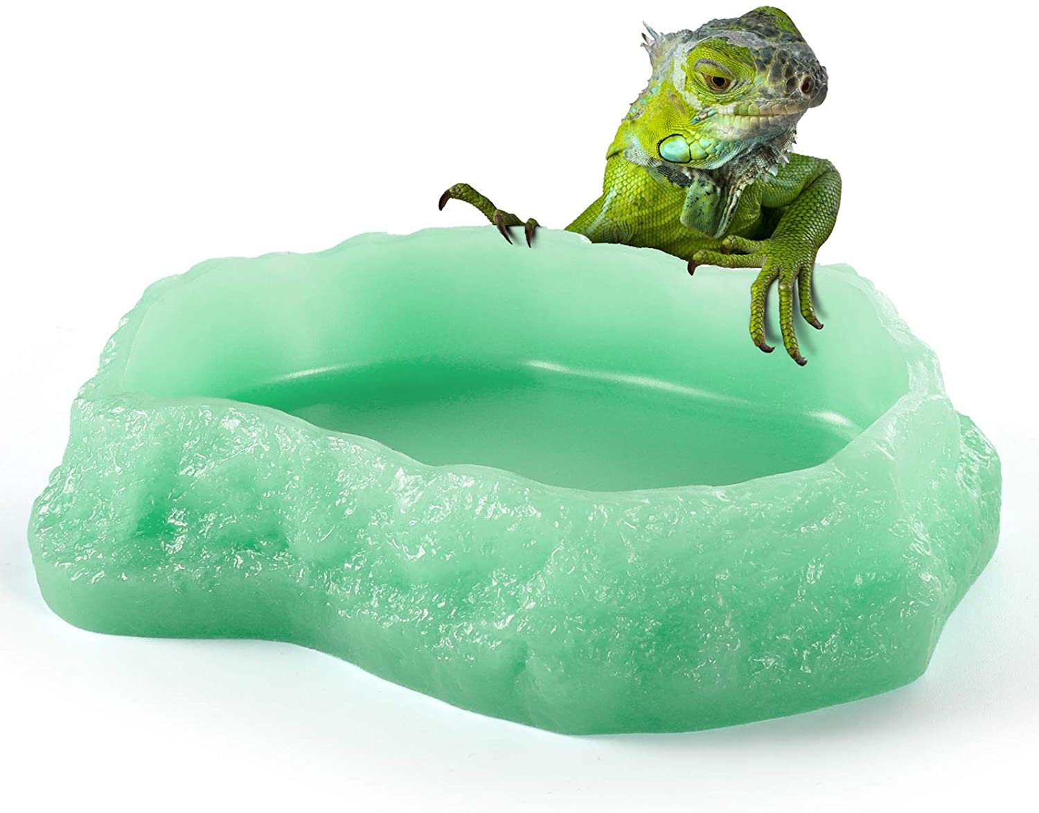 Is a worm a reptile or amphibian 2025