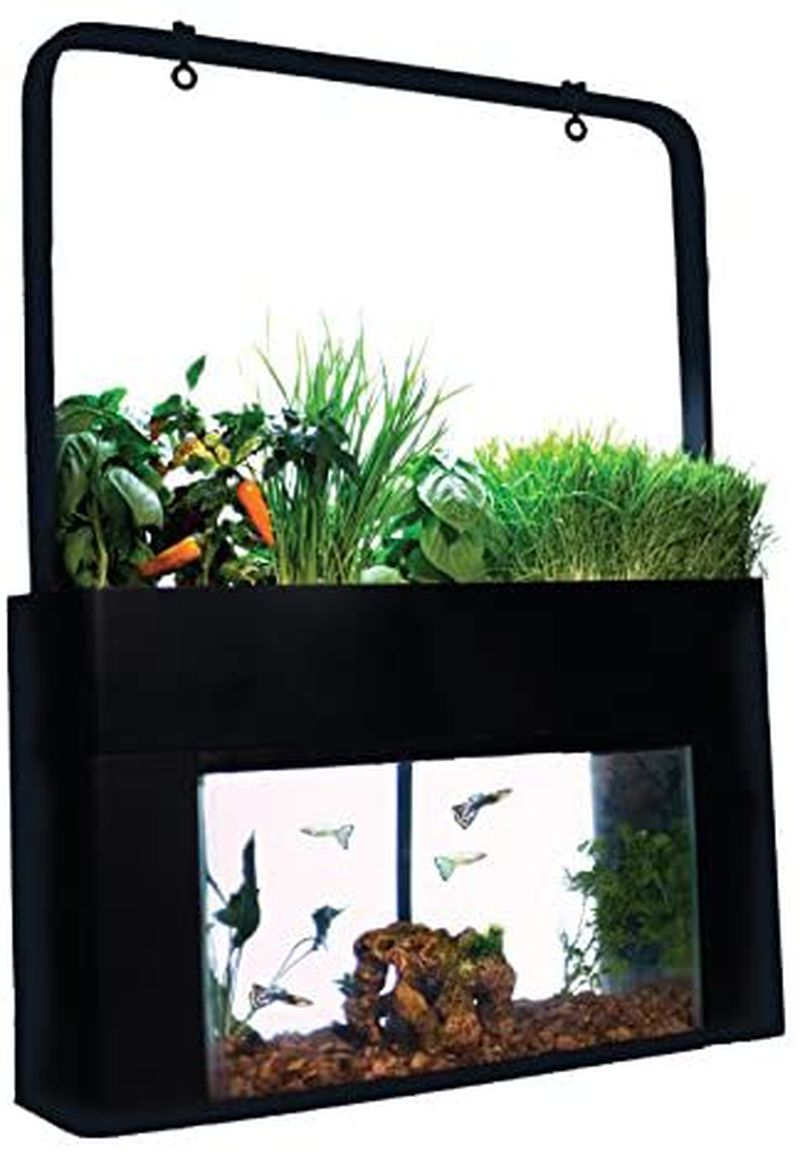 Aquasprouts Garden, Self-Sustaining Desktop Aquarium Aquaponics Ecosys –  KOL PET
