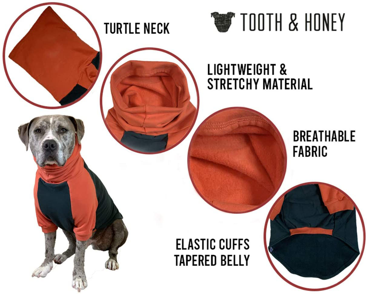 Tooth and online honey dog clothes