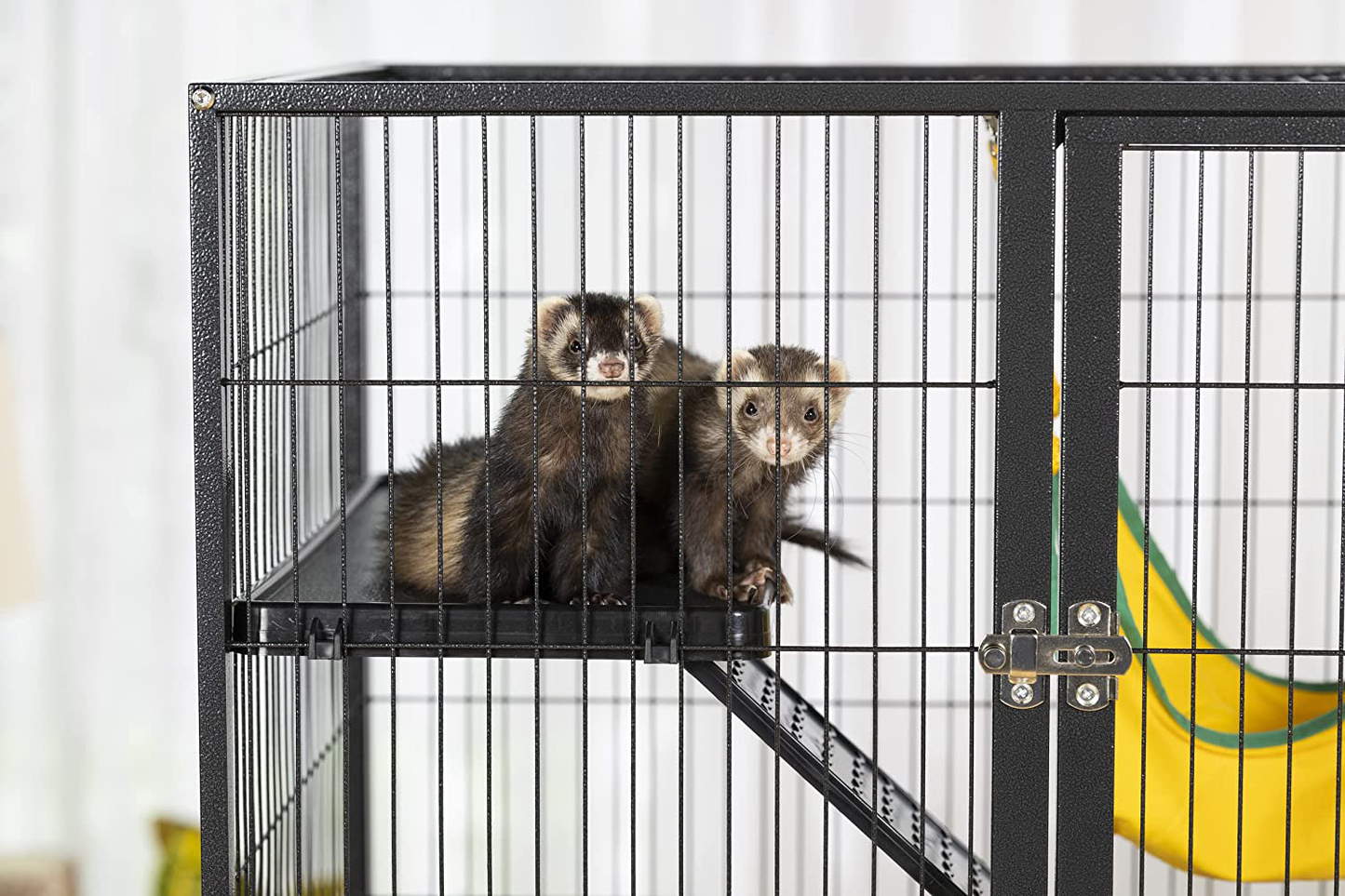 Prevue Hendryx Black Feisty Ferret Cage Animals & Pet Supplies > Pet Supplies > Small Animal Supplies > Small Animal Habitats & Cages Prevue Hendryx   