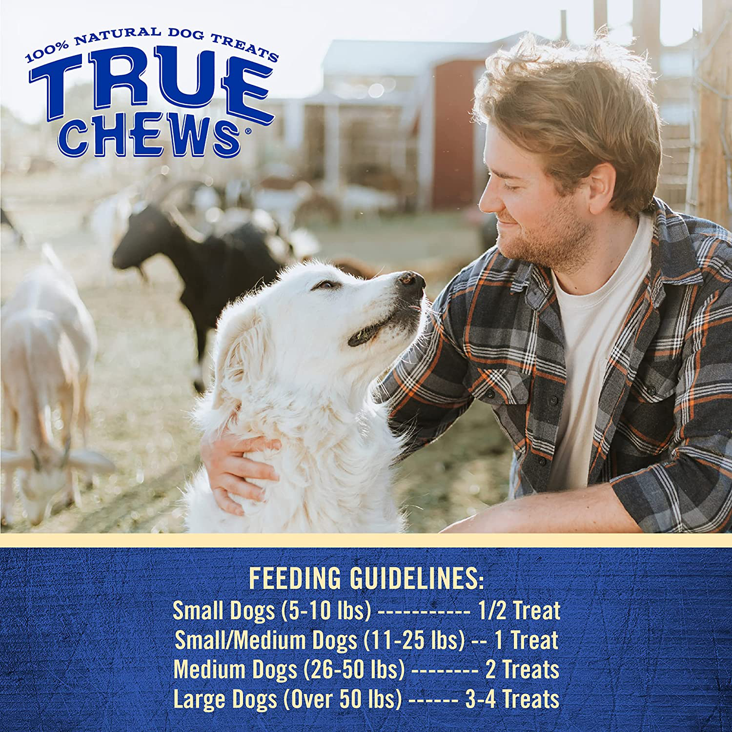 True Chews Dog Treats, Chicken Bacon Recipe, 12 Oz, Medium (019369-2303) Animals & Pet Supplies > Pet Supplies > Bird Supplies > Bird Treats True Chews   