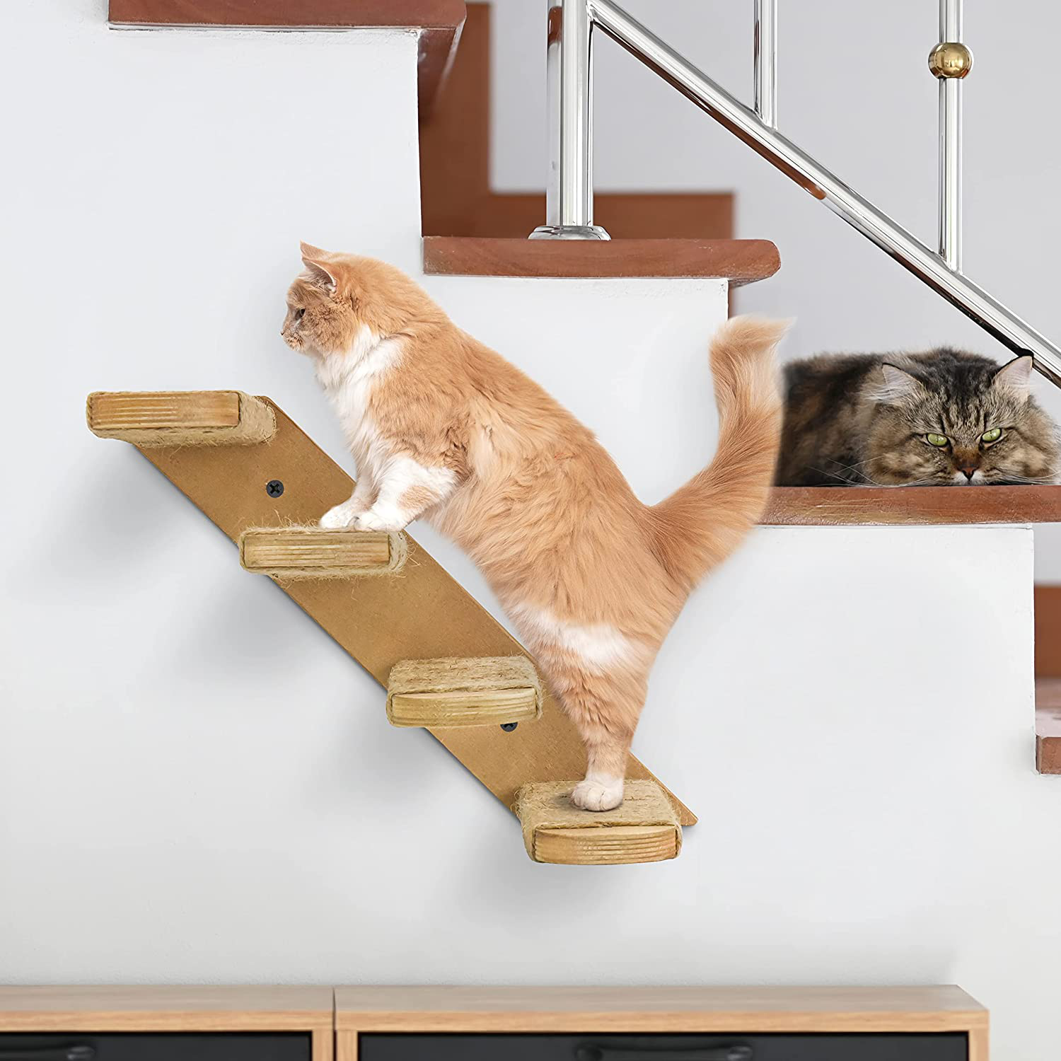Cat Wall Shelves, Cat Wall Furniture, Cat Stairs Cat Shelves and Perches for Wall, Cat Ladder Cat Wall Steps for Scratching and Climbing, Cat Perch Wall Mounted