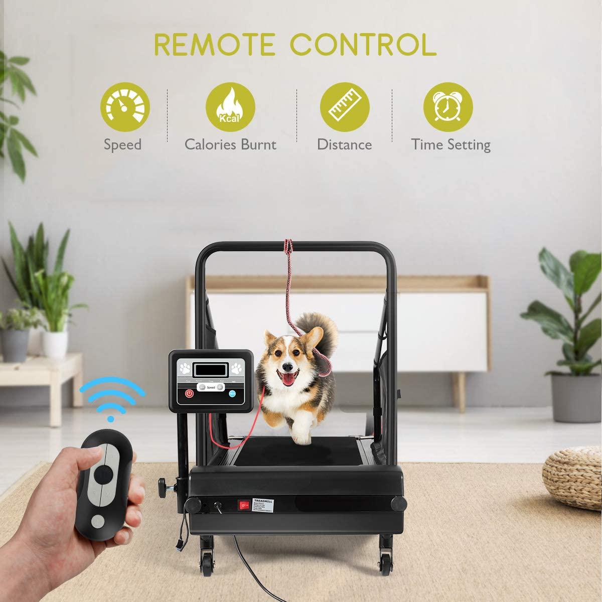 Dog Treadmill Pet Dog Running Machine 200lbs Indoor Pet Exercise Equipment with LCD Display & Remote Control
