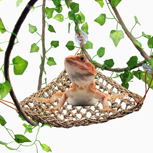 PETWAKEY-ST Bearded Dragon Hammock,Bendable Reptile Jungle Vine Decor with Fake Leaves & Suction Cup Accessories for Climbing Chameleon Crab Lizards Snakes Hermit Gecko（4 PCS） Animals & Pet Supplies > Pet Supplies > Reptile & Amphibian Supplies > Reptile & Amphibian Habitat Accessories PETWAKEY-ST   