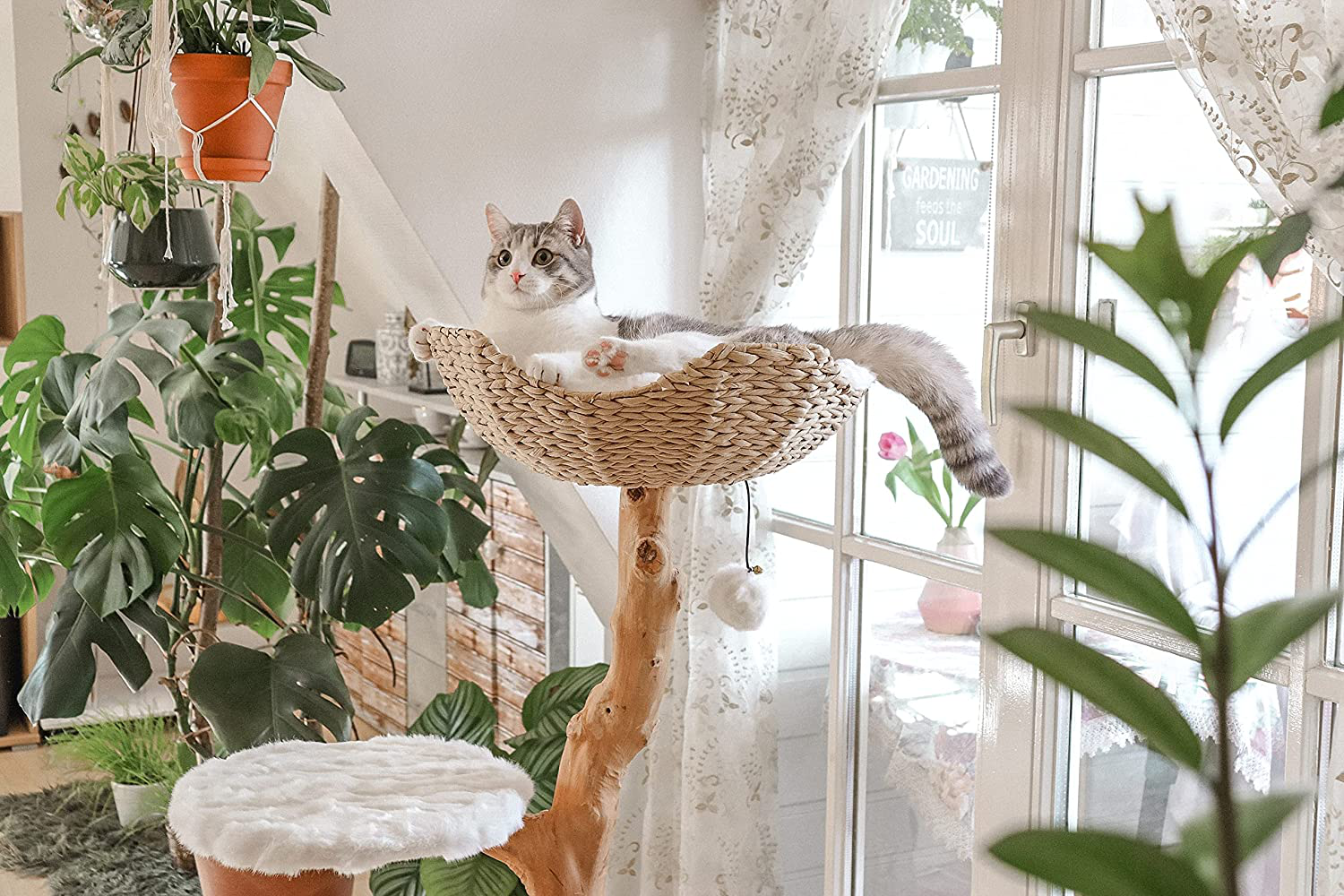 Modern Cat Tree Tower, Real Wooden Single Branch Cat Condo, Wood Cat Tree, Cat Climbing, Furniture for Cat, Cat Lover Gift, Cat Furniture,Cat Gift by MAU LIFESTYLE Animals & Pet Supplies > Pet Supplies > Cat Supplies > Cat Furniture Mau Lifestyle   