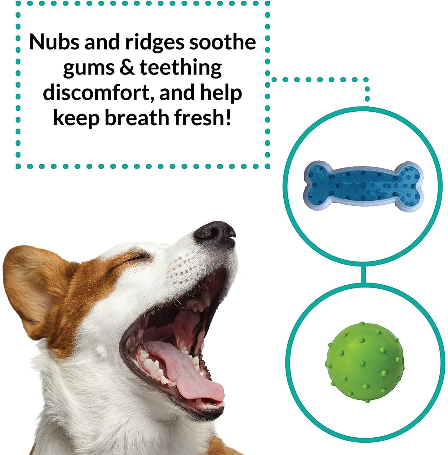 Rocket & Rex Dog Toy Pack, Chew Toys for Small Dogs and Dog Toys for Puppies, Safe & Non-Toxic, for Small to Medium Breeds, Includes Rope Toys, Plush Squeaky Toy, Ball and Tug of War Toy Animals & Pet Supplies > Pet Supplies > Dog Supplies > Dog Toys rocket & rex   