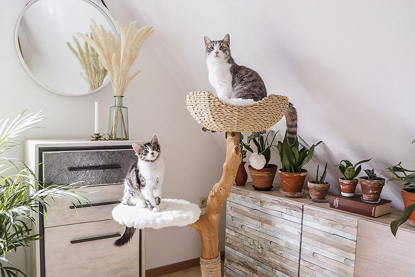 Modern Cat Tree Tower, Real Wooden Single Branch Cat Condo, Wood Cat Tree, Cat Climbing, Furniture for Cat, Cat Lover Gift, Cat Furniture,Cat Gift by MAU LIFESTYLE Animals & Pet Supplies > Pet Supplies > Cat Supplies > Cat Furniture Mau Lifestyle   