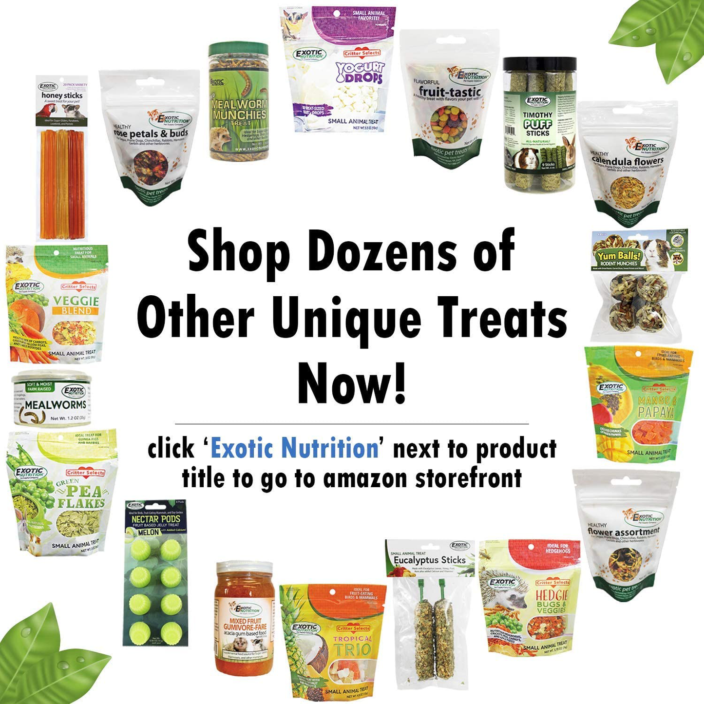 Herbivore Treats 6 Pack - Healthy Assortment Small Animal Pet Treat - Squirrels, Guinea Pigs, Rabbits, Chinchillas, Prairie Dogs, Degus, Hamsters, Gerbils, Herbivores Animals & Pet Supplies > Pet Supplies > Small Animal Supplies > Small Animal Treats Exotic Nutrition   