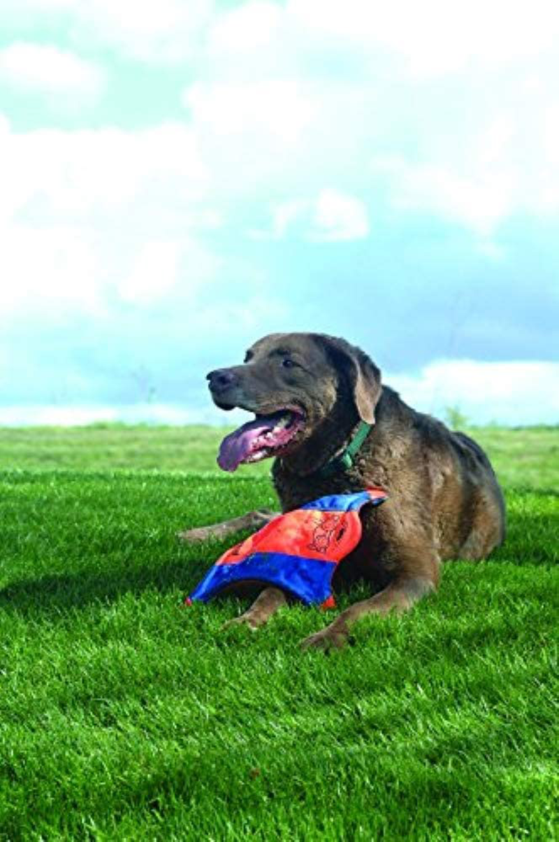 Flying Squirrel Spinning Dog Toy, (Orange/Blue), Multicolor, Medium (10 in X 10 Animals & Pet Supplies > Pet Supplies > Dog Supplies > Dog Toys Canine Hardware   