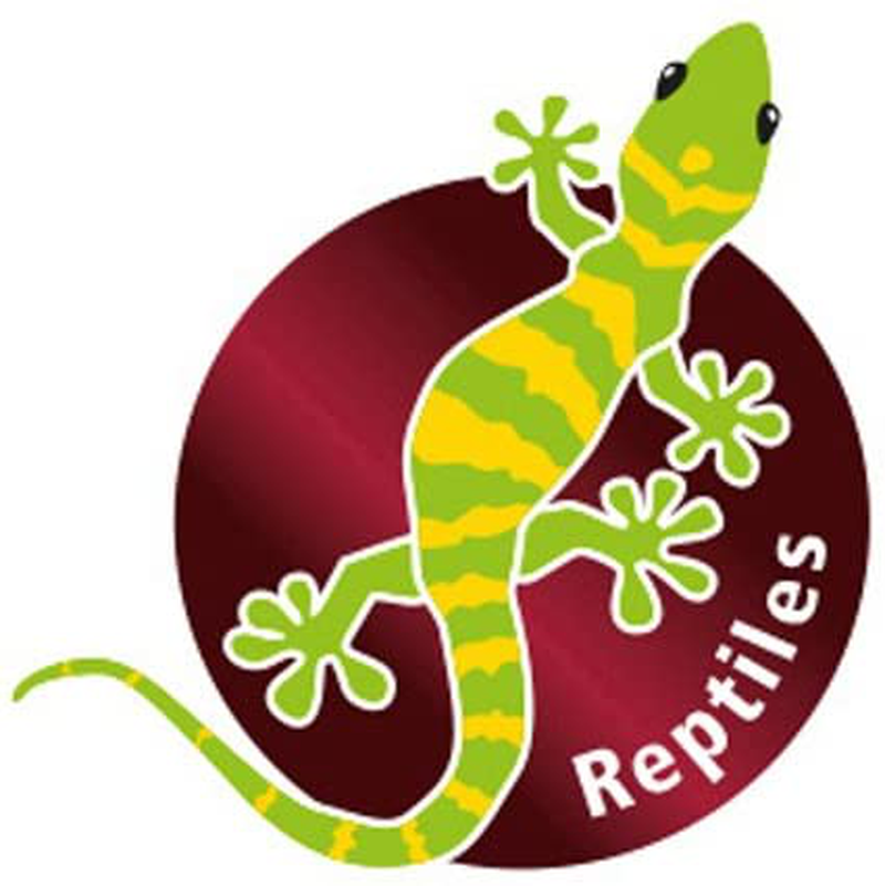 Hobby Terrano Shavings Beech Substrate for Reptiles, Amphibians Animals & Pet Supplies > Pet Supplies > Reptile & Amphibian Supplies > Reptile & Amphibian Substrates Hobby   