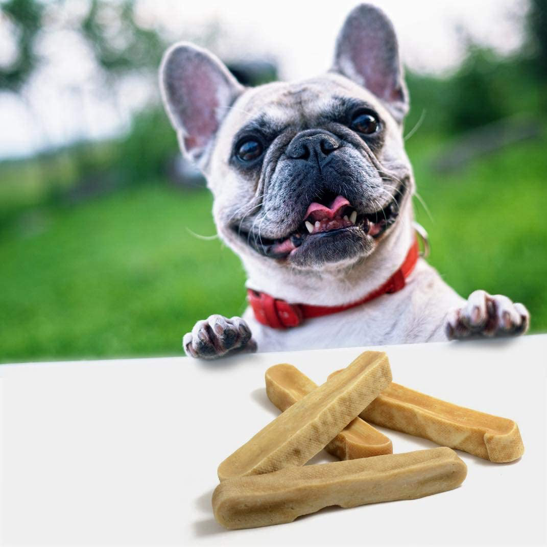 Ecokind Pet Treats Gold Yak Dog Chews | Great for Dogs, Treatecokind Pet Treats for Dogs, Keeps Dogs Busy & Enjoying, Indoors & Outdoor Use Animals & Pet Supplies > Pet Supplies > Small Animal Supplies > Small Animal Treats EcoKind Pet Treats   