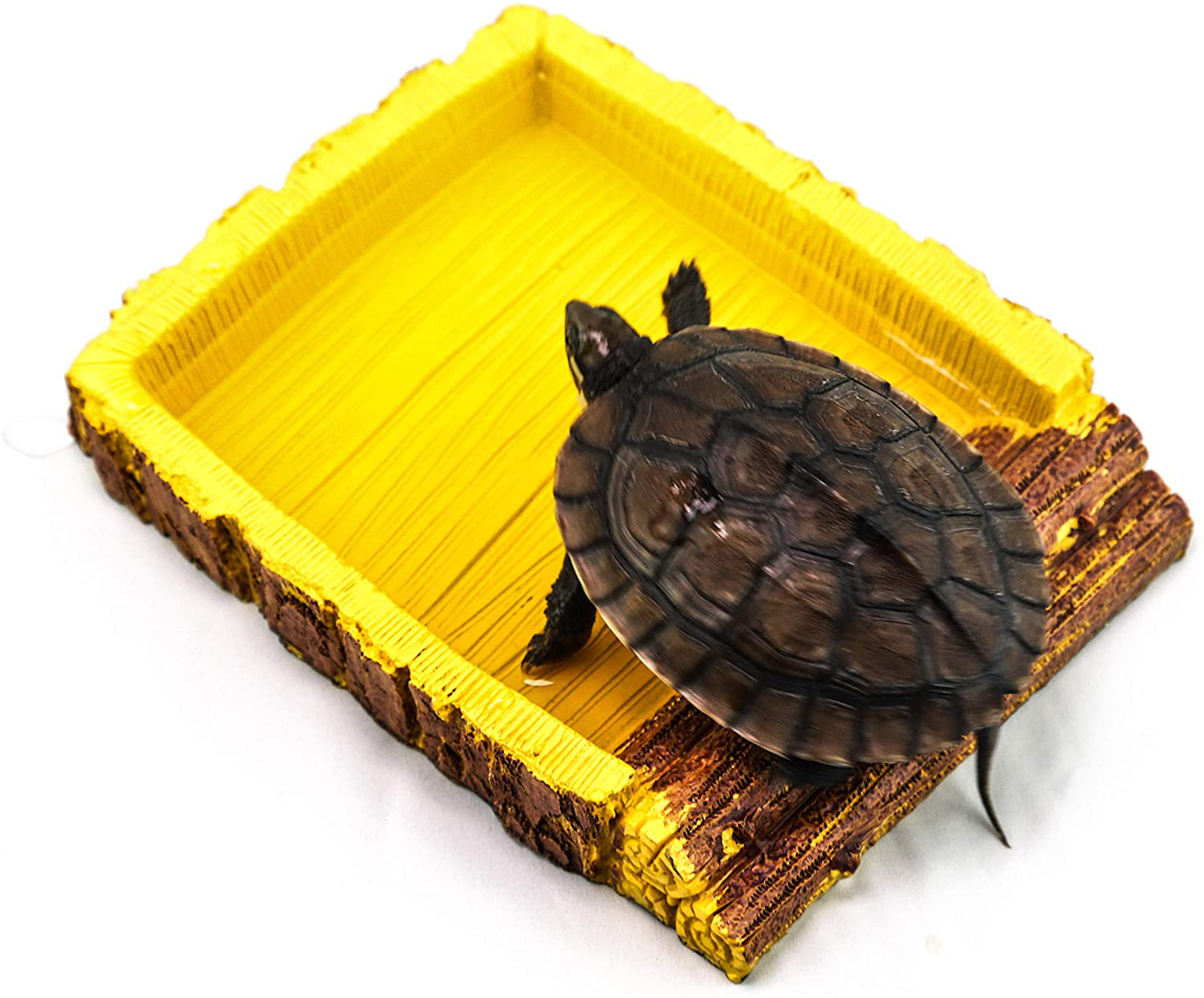 AQUA KT Habitat Decoration Reptile Ramp Water Rock Bowl Food Dish for Tortoise Amphibians Animals & Pet Supplies > Pet Supplies > Reptile & Amphibian Supplies > Reptile & Amphibian Habitats AQUA KT   