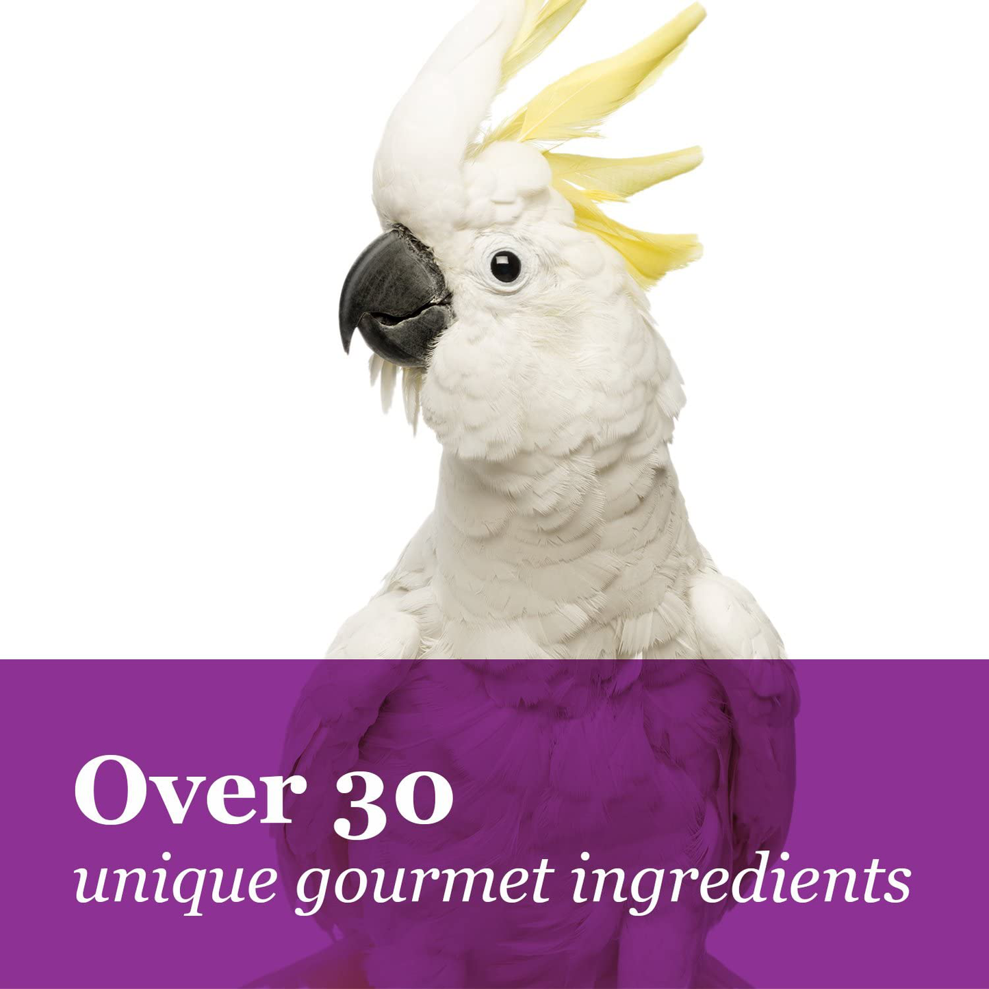 Tropical Carnival F.M. Brown'S, Gourmet Macaw Food Big Bites for Big Beaks - Seeds, Veggies, Fruits, and Nuts with Probiotics Animals & Pet Supplies > Pet Supplies > Bird Supplies > Bird Food Fm Browns   