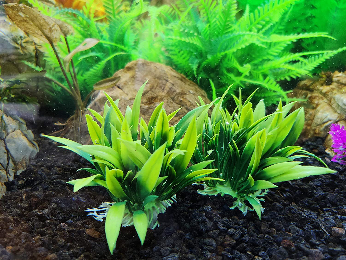 BEGONDIS 5Pcs Aquarium Decorations Fish Tank Artificial Green Water Plants Made of Soft Plastic Animals & Pet Supplies > Pet Supplies > Reptile & Amphibian Supplies > Reptile & Amphibian Habitat Accessories BEGONDIS   