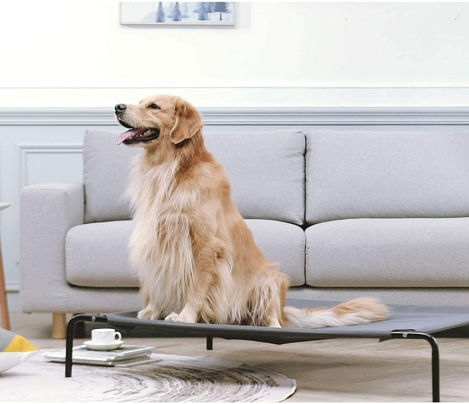 Elevated Dog Bed, Western Home Raised Dog Bed Cot for Large Medium Small Dogs, Portable Pet Cot for Indoor and Outdoor with Breathable Mesh, Durable Frame and Skid-Resistant Feet Animals & Pet Supplies > Pet Supplies > Dog Supplies > Dog Beds WESTERN HOME WH   