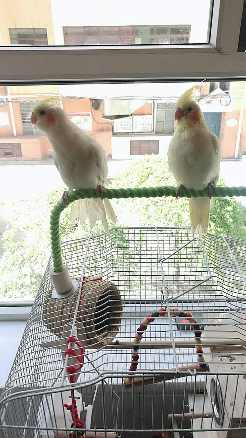 QBLEEV Bird Cage Rope Stands Conure Parrot Perches Swing Toys Play Set Birdcage Playground Play Gym Accessories for Parakeet Cockatiels Lovebirds African Grey(Cage Not Included) Animals & Pet Supplies > Pet Supplies > Bird Supplies > Bird Gyms & Playstands QBLEEV   