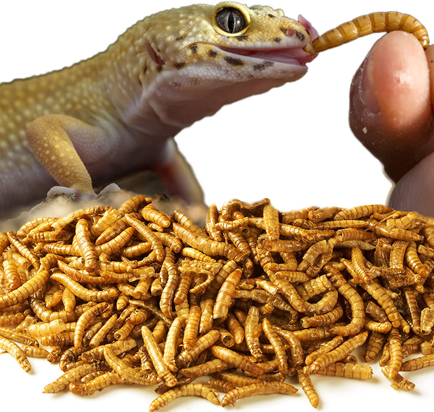 MERIC Mealworm for Reptiles, High Protein Snack for Lizards, Tortoises, Turtles, Snakes, Encourages Variety Feeding and Improved Health, Resealable Zip-Lock Packaging, 3.5 Oz. Animals & Pet Supplies > Pet Supplies > Reptile & Amphibian Supplies > Reptile & Amphibian Food Meric   