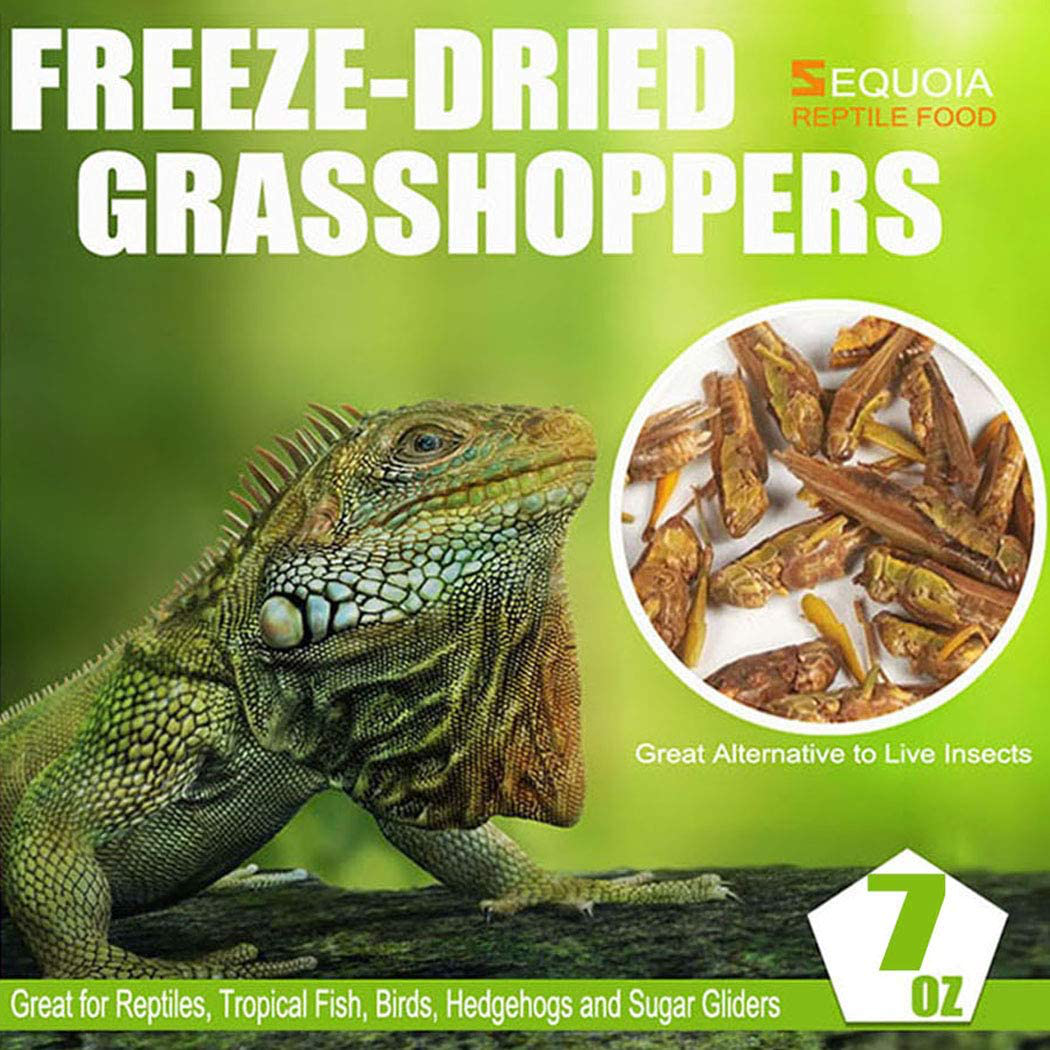 Sequoia Freeze Dried Grasshopper Reptile Food for Turtles, Bearded Dragon, Hedgehog,Lizard, Chameleon, Birds Animals & Pet Supplies > Pet Supplies > Reptile & Amphibian Supplies > Reptile & Amphibian Food Sequoia 7 Ounce (Pack of 1)  