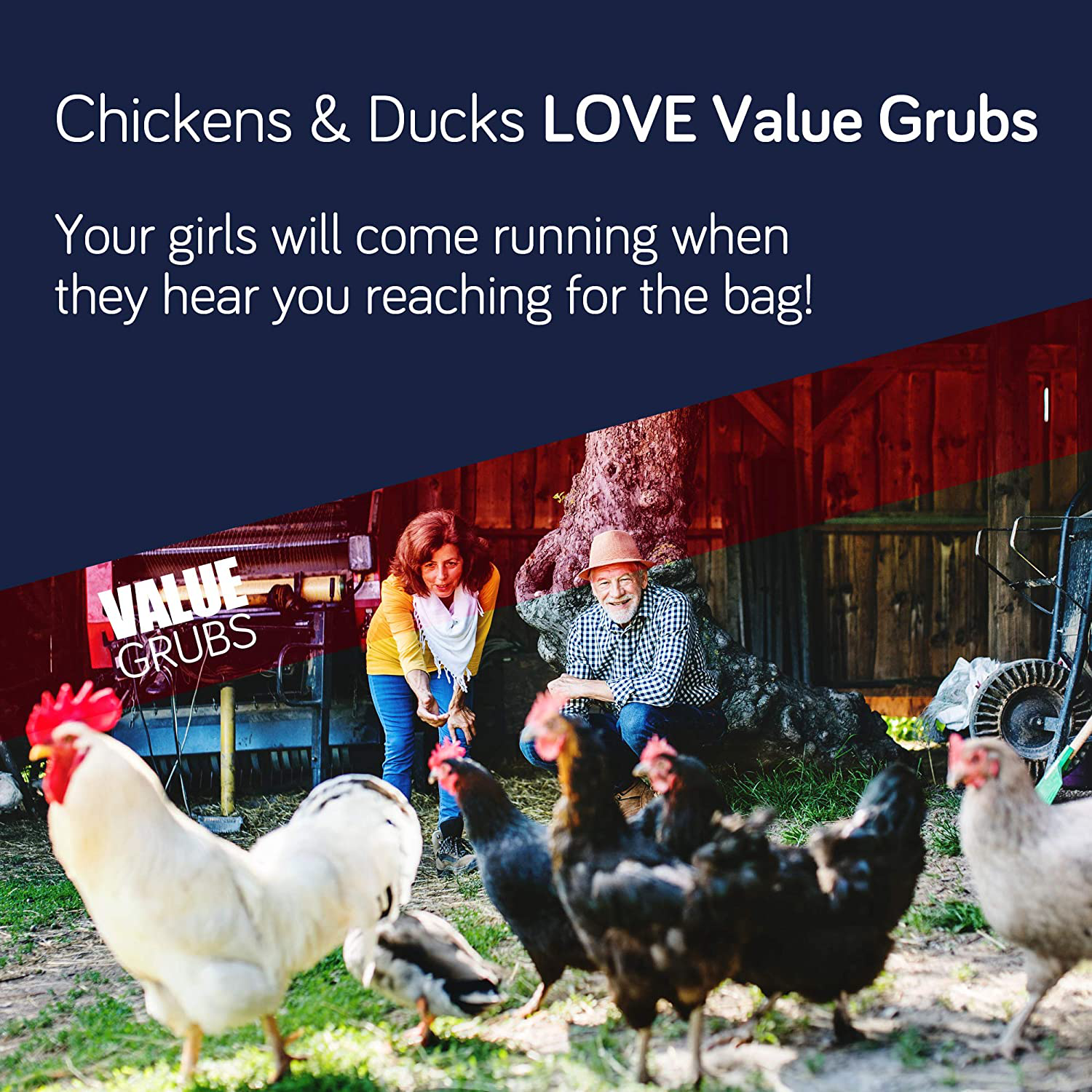 Value Grubs 4 Lbs - Better than Dried Mealworms for Chickens - Non-Gmo & 75X More Calcium than Meal Worms - Chicken Feed & Molting Supplement - BSF Larvae Treats for Hens, Ducks, Wild Birds