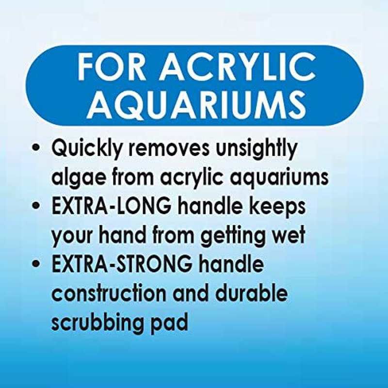 API ALGAE SCRAPER for Acrylic Aquariums 1-Count Container Animals & Pet Supplies > Pet Supplies > Fish Supplies > Aquarium Cleaning Supplies API   