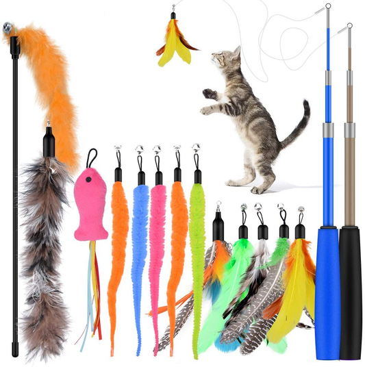 Qoosea Cat Feather Toys, 2PCS Retractable Cat Wand Toy and 13PCS Replacement Teaser with Bell Refills, Interactive Cat Wand for Kitten Cat Having Fun Playing Animals & Pet Supplies > Pet Supplies > Cat Supplies > Cat Toys Qoosea   