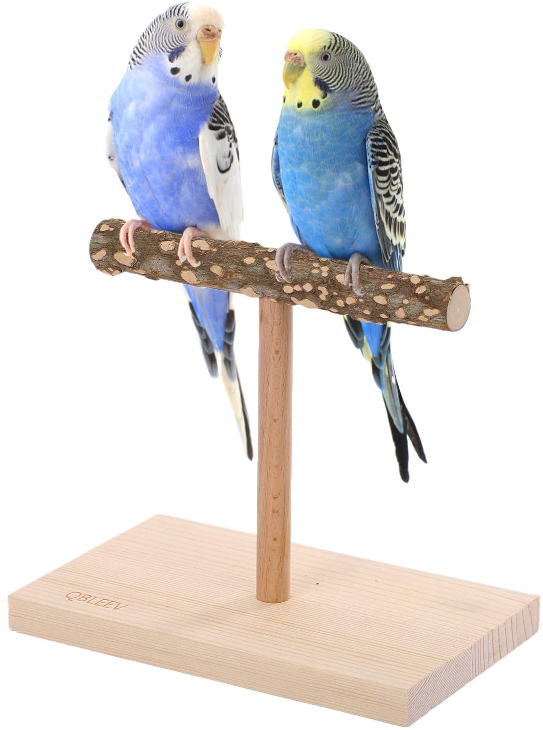 QBLEEV Bird Tabletop Training Stand Perch，Portable Parrot Tee Play Stands, Natural Wood Bird Cage Toys Gym Playground for Small Medium Parakeets Cocktails Conures Lovebirds Finch Animals & Pet Supplies > Pet Supplies > Bird Supplies > Bird Cage Accessories QBLEEV   