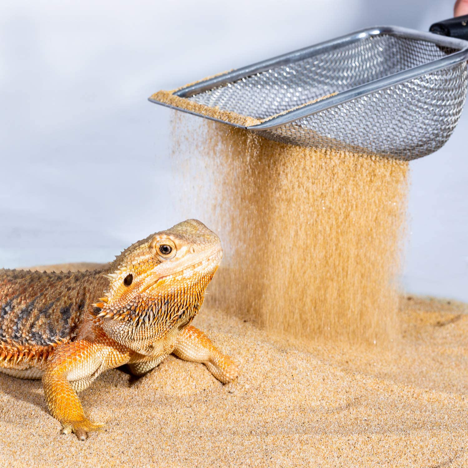 REPTI ZOO Reptile Sand Stainless Steel Fine Mesh Reptile Substrate Metal Sand Shovel Terrarium Substrate Durable Litter Cleaner Corner Scoop Animals & Pet Supplies > Pet Supplies > Reptile & Amphibian Supplies > Reptile & Amphibian Substrates REPTI ZOO   