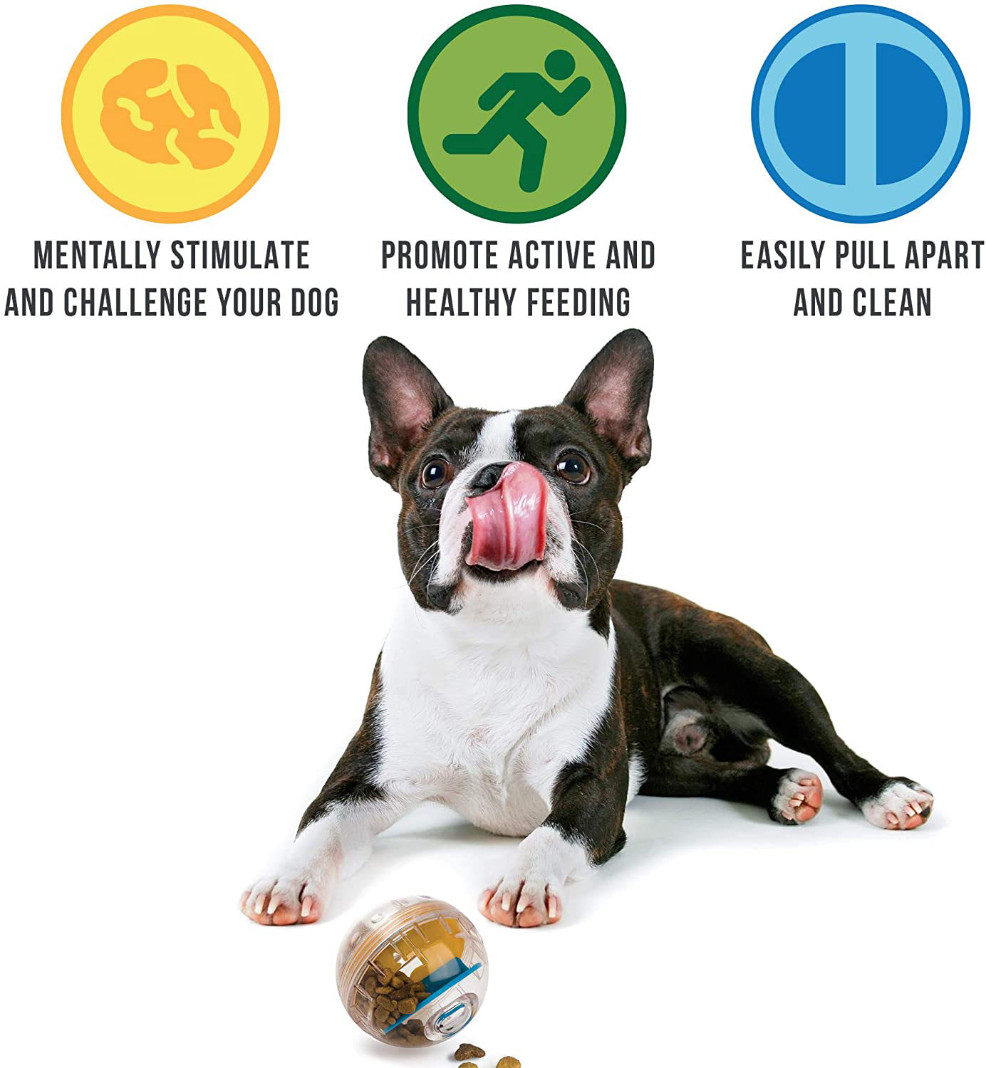 Pet Zone IQ Treat Ball – Adjustable Dog Treat Dog Ball and Treat Dispensing Dog Toys (Dog Puzzle Toys, Dog Enrichment Toys, and Interactive Dog Toys in One) Great Alternative to Snuffle Mat for Dogs Animals & Pet Supplies > Pet Supplies > Dog Supplies > Dog Toys Pet Zone   
