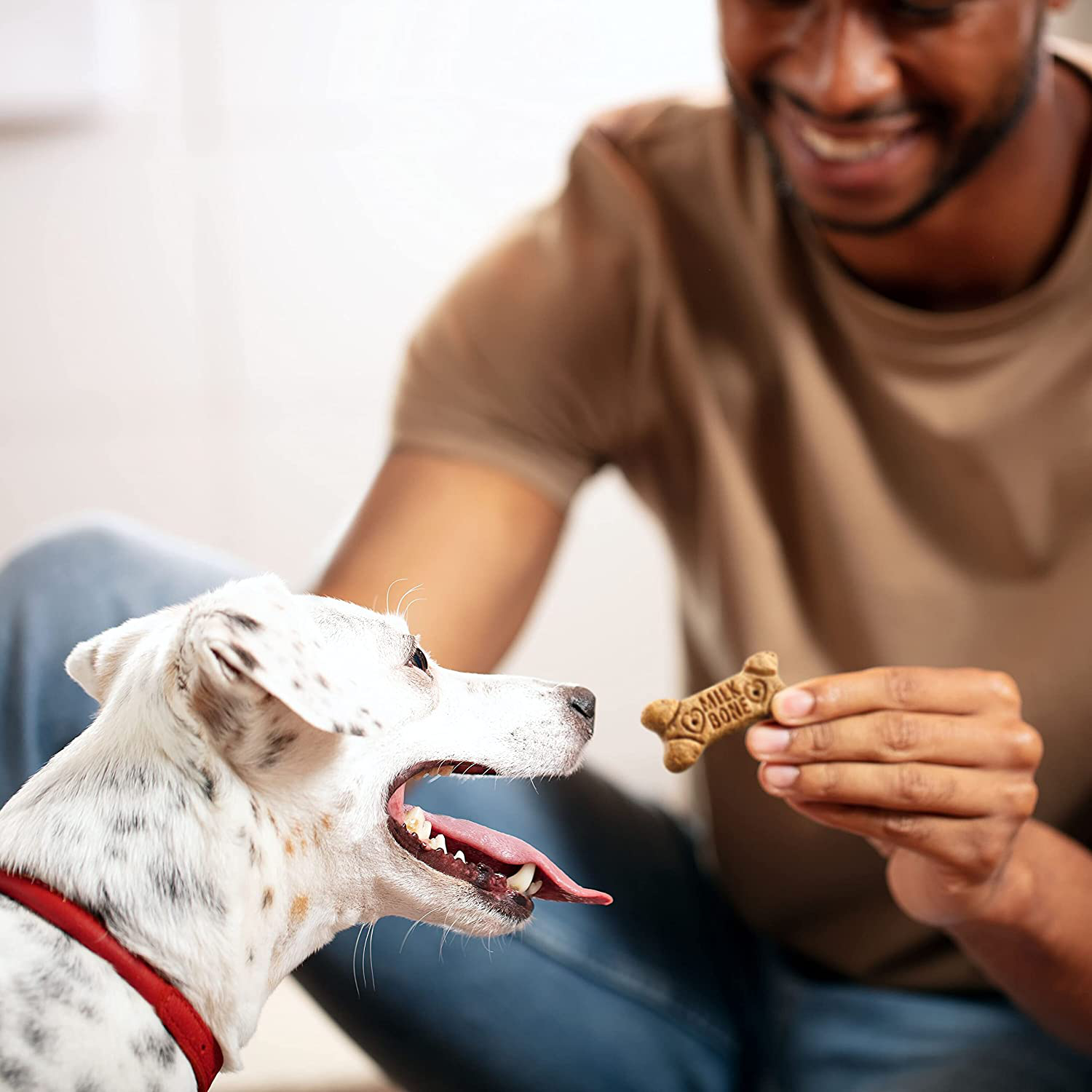 Milk-Bone Flavor Snacks Dog Treats Animals & Pet Supplies > Pet Supplies > Small Animal Supplies > Small Animal Treats Milk-Bone   