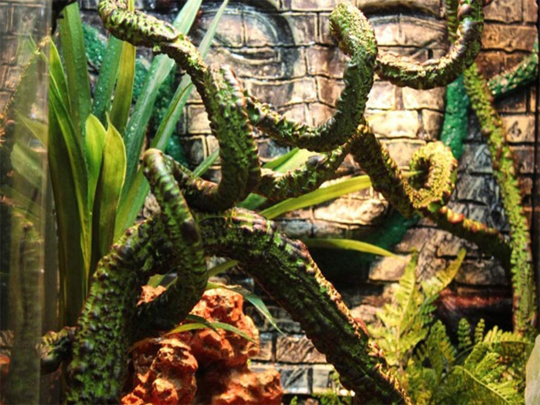 Flexible Bend-A-Branch Jungle Vines Plastic Terrarium Plant Leaves Pet Habitat Decor for Lizard,Frogs, Snakes and More Reptiles (Reptile Vines)