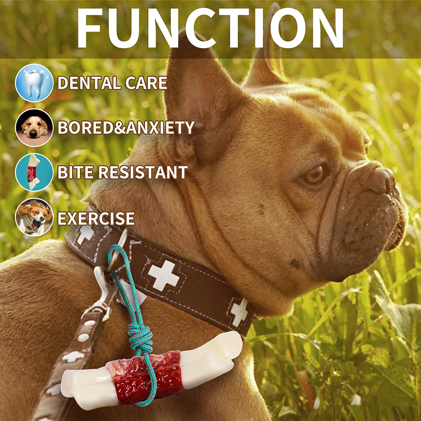 Dog Toys for Aggressive Chewers,Almost Indestructible Nylon Dog Bone Toy for Large Medium Breed,Non-Toxic Food Grade Nylon Puppy Teething Dog Chew Toys Durable Stick Toys-Real Beef Flavor Animals & Pet Supplies > Pet Supplies > Dog Supplies > Dog Toys JJXSLF4   
