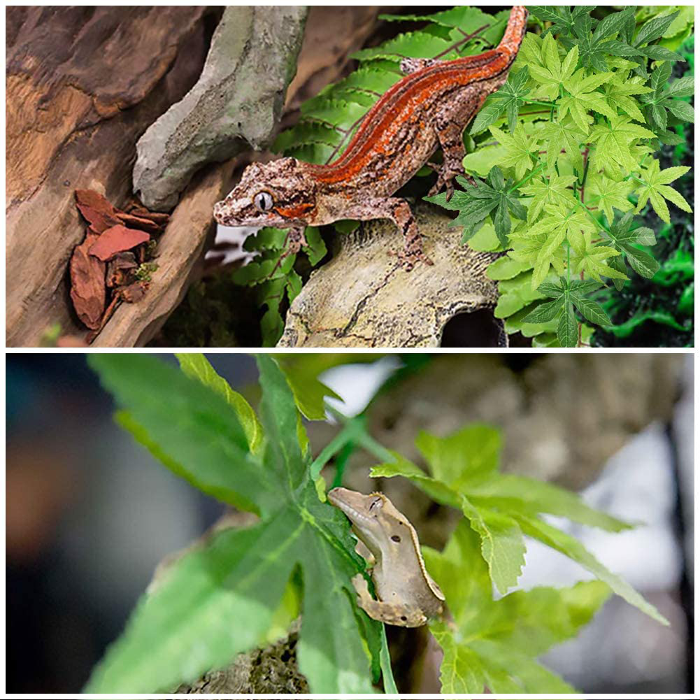 NANEEZOO 2 Pack Reptile Plants - Plastic Hanging Silk Terrarium Plants with Suction Cup for Bearded Dragons, Lizards, Geckos, Snake, Hermit Crab Reptile Tank Habitat Decorations, 12 Inches Animals & Pet Supplies > Pet Supplies > Reptile & Amphibian Supplies > Reptile & Amphibian Habitats NANEEZOO   