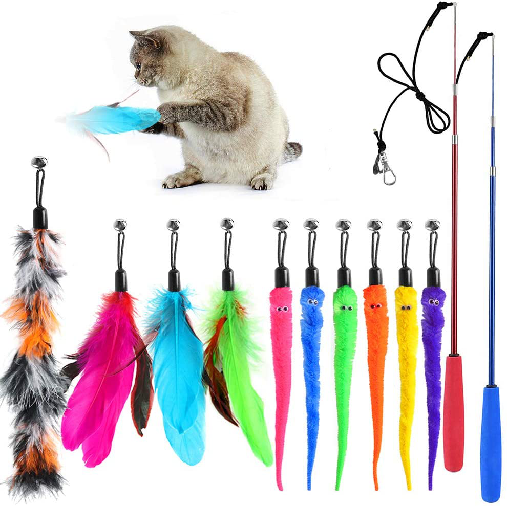 SYEENIFY Cat Toys Kitten Toys Assortments,Cat Feather Toys,Cat Wand Toy,Cat Toys for Indoor Cats Animals & Pet Supplies > Pet Supplies > Cat Supplies > Cat Toys SYEENIFY Worms Print  