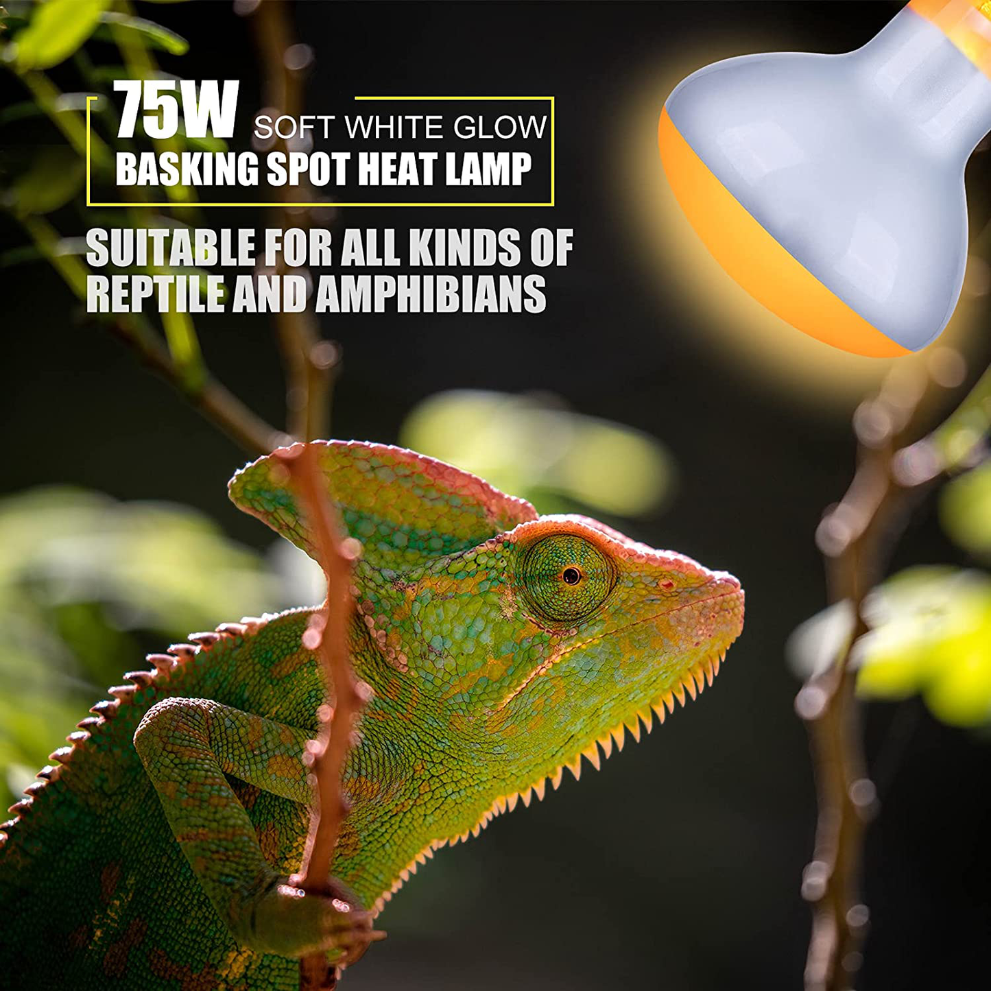 Infrared Heat Lamp Basking Spot Light Bulb，Ledesign 75 Watt White Heat Lamp Bulbs for Reptiles and Amphibian Use, 2 Packs (White) Animals & Pet Supplies > Pet Supplies > Reptile & Amphibian Supplies > Reptile & Amphibian Habitat Heating & Lighting LEDESIGN   