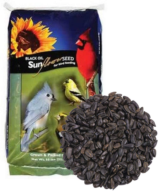 Countrymax Backyard Seeds Black Oil Sunflower Animals & Pet Supplies > Pet Supplies > Bird Supplies > Bird Food CountryMax 50 Pound (Pack of 1)  