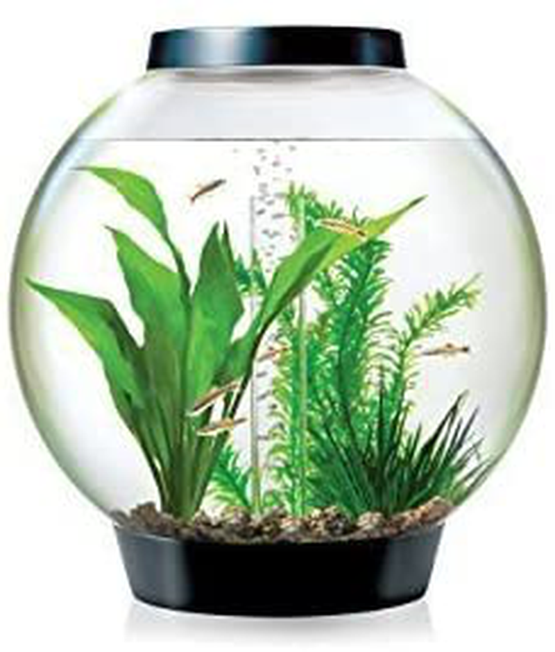 Biorb Classic Aquarium Animals & Pet Supplies > Pet Supplies > Fish Supplies > Aquarium Decor biOrb Black 4 Gallon 