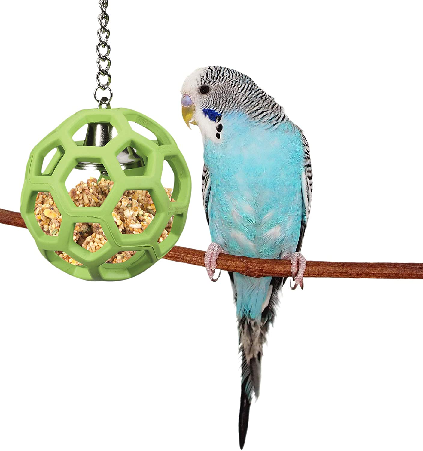 JW Pet Company Activitoys Hol-Ee Roller Bird Toy ( Color May Vary ) Animals & Pet Supplies > Pet Supplies > Bird Supplies > Bird Toys JW   