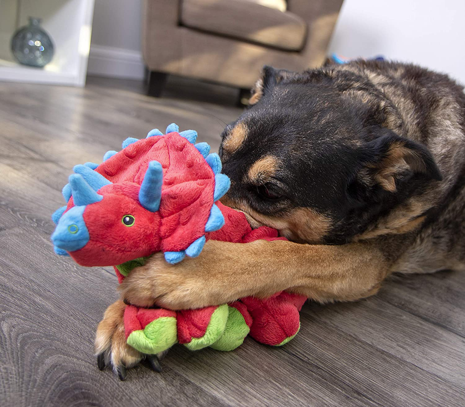 Go sales dog triceratops