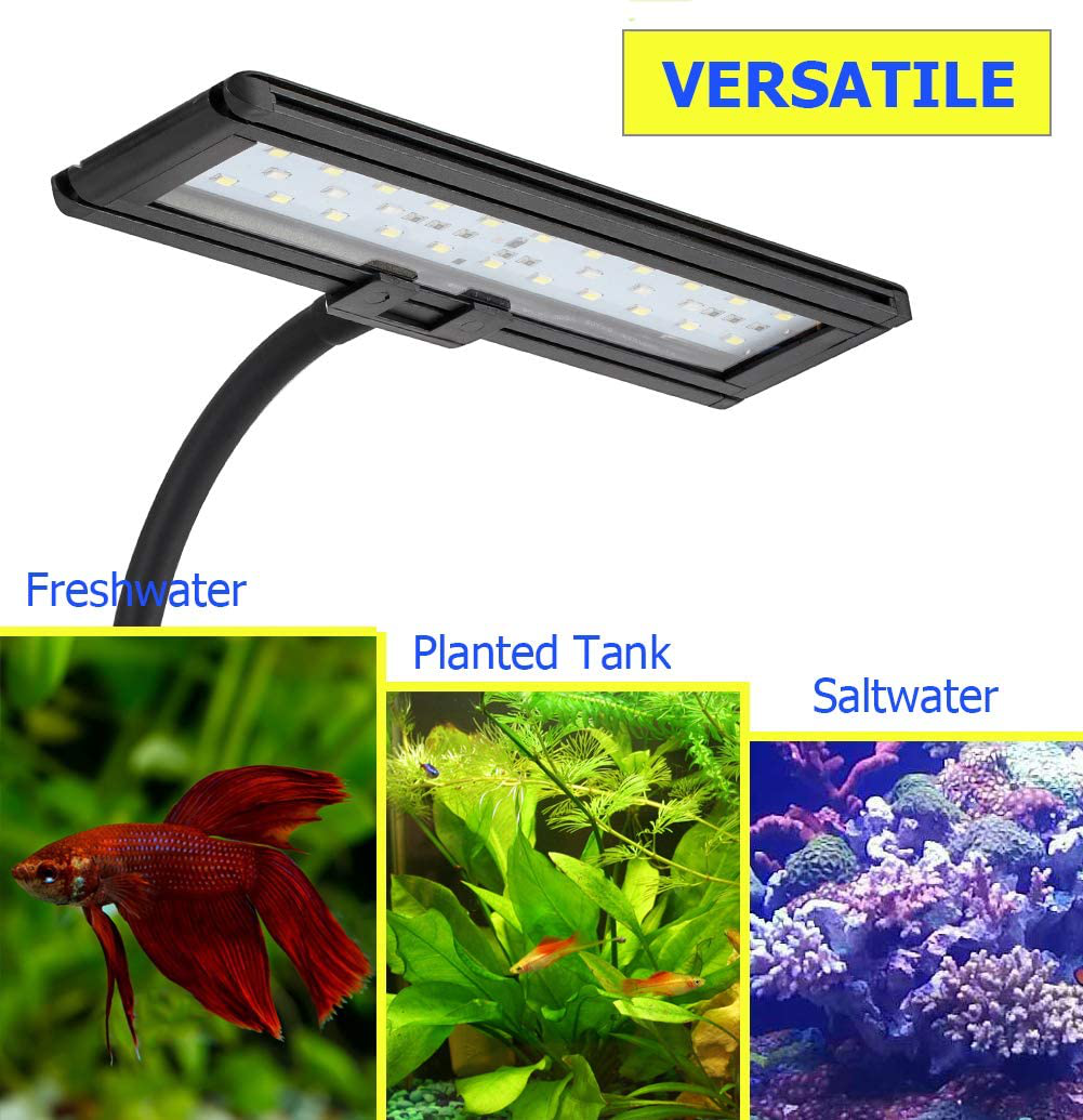 Hygger 9.7 Inches Blue White LED Aquarium Light Clip on Small Led Light for Planted Saltwater Freshwater Fish Tank with Gooseneck Clamp 13W