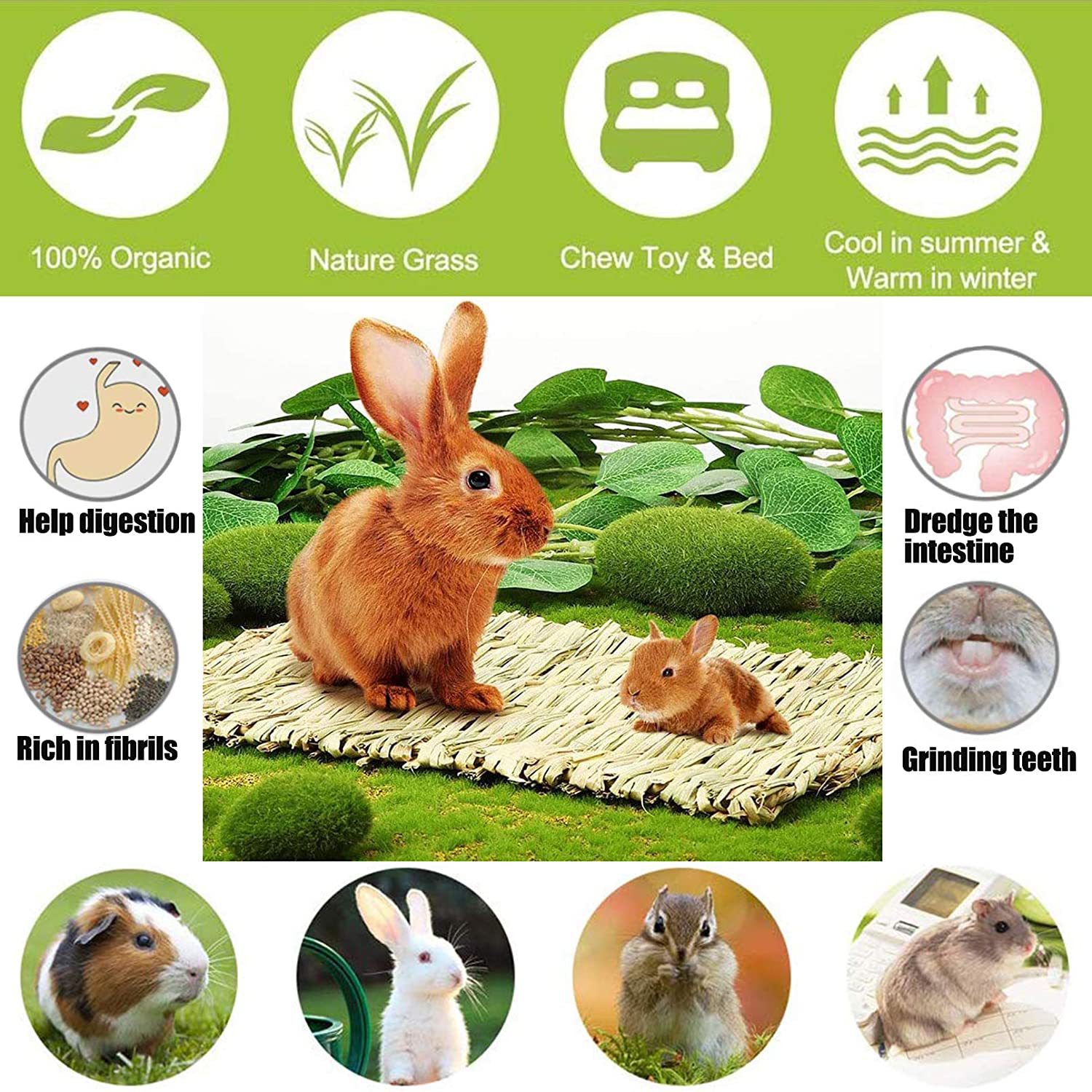 Kathson 5 Pack Bunny Grass Mats Woven Rabbit Bed Mat Bedding Nest Chew Toy Natural Straw Bed Play Toys for Guinea Pig Hamster Chinchilla Parrot Animals & Pet Supplies > Pet Supplies > Small Animal Supplies > Small Animal Bedding kathson   