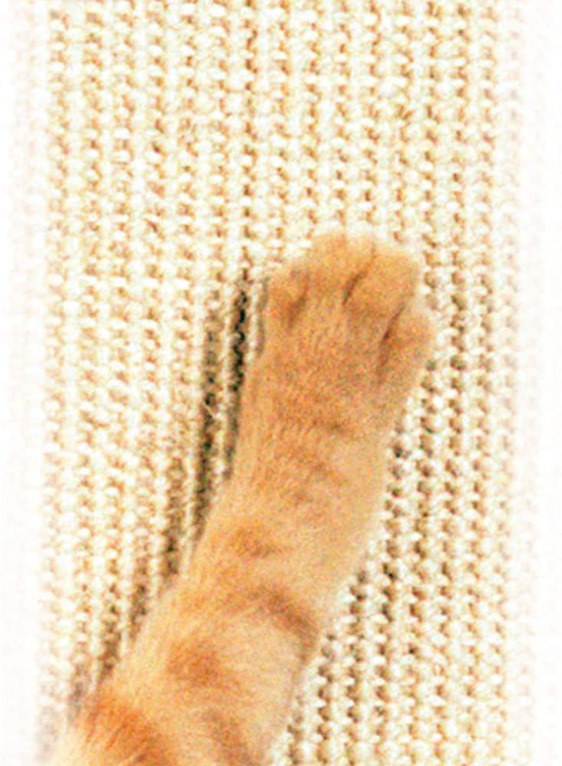 Smartcat Pioneer Pet Ultimate Scratching Post Animals & Pet Supplies > Pet Supplies > Cat Supplies > Cat Furniture SmartCat   