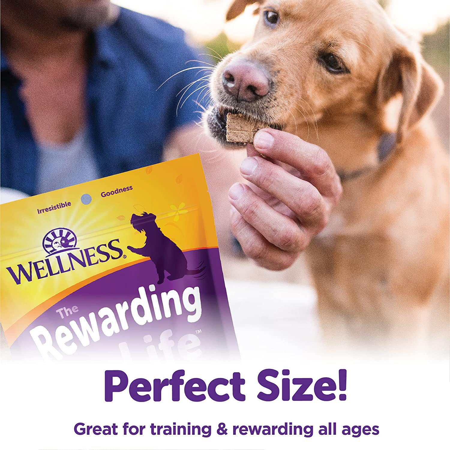 Wellness Wellbars Natural Grain Free Crunchy Dog Treat Biscuits Animals & Pet Supplies > Pet Supplies > Small Animal Supplies > Small Animal Treats Wellness Natural Pet Food   