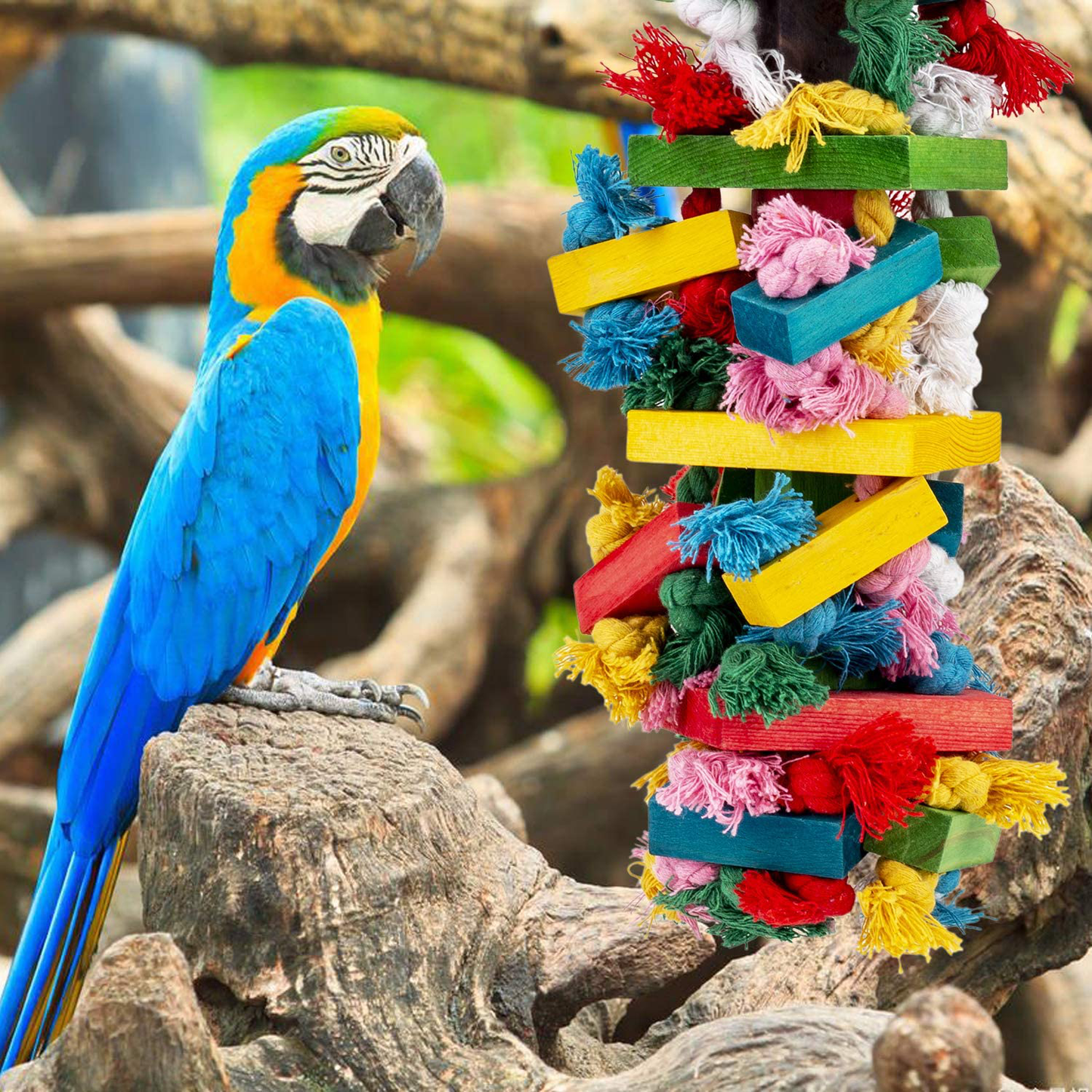 RAINBOWPK Natural Wooden Chewing Bird Toys for Parrots, Multi-Colored Hanging Shredding Toys for Medium and Small Parrots, Parakeets, Conures, Cockatiels, Macaws, Cockatoos and Birds Animals & Pet Supplies > Pet Supplies > Bird Supplies > Bird Toys RAINBOWPK   