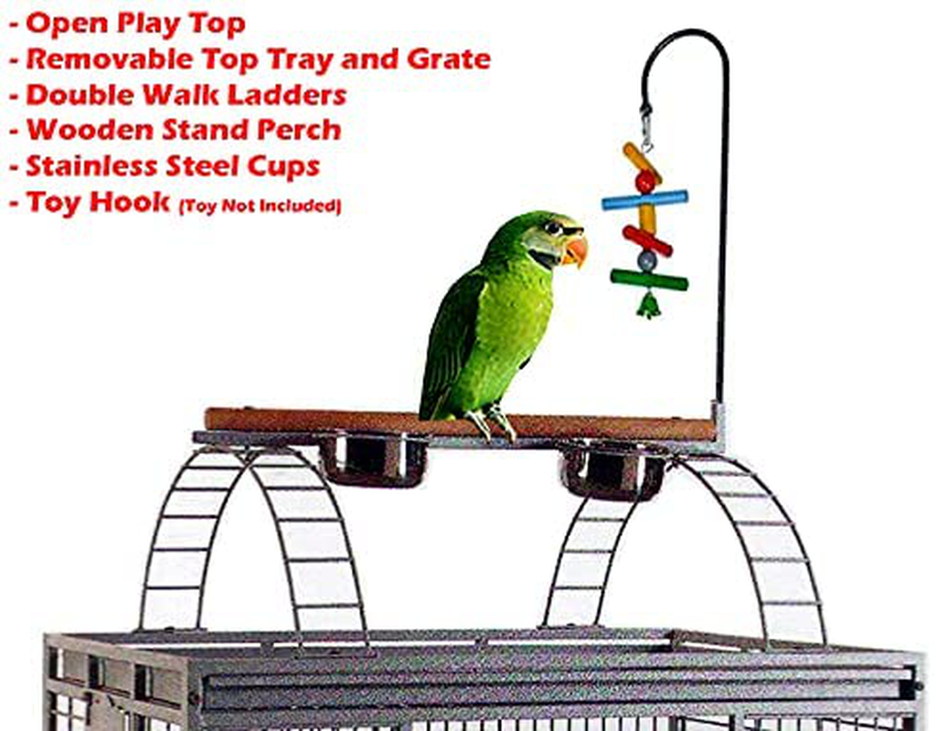 Large Double Ladders Open Play Top Wrought Iron Bird Parrot Parakeet Finch Macaw Cockatoo Cage, Include Seed Guard and Toy Hook (Blackvein) Animals & Pet Supplies > Pet Supplies > Bird Supplies > Bird Toys Mcage   