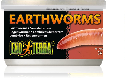 Exo Terra Specialty Reptile Food, Canned Earthworms for Reptiles