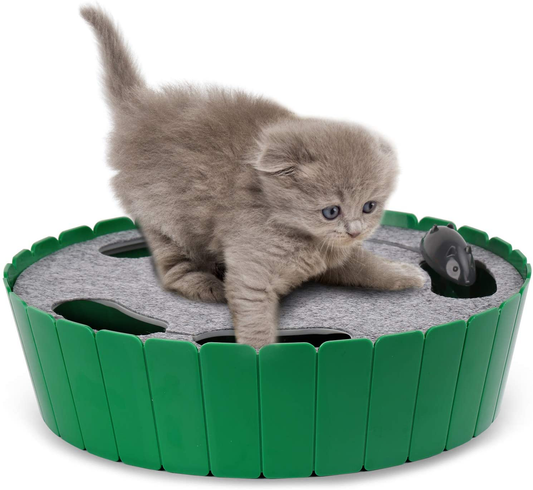 Pawaboo Cat Toy with Running Mouse, Electric Interactive Motion Cat Toy Automatic Rotating Teaser Pop and Play Hide and Seek Hunt Toy for Pet Cat Kitten Play Fun Excercise Animals & Pet Supplies > Pet Supplies > Cat Supplies > Cat Toys Pawaboo Green  