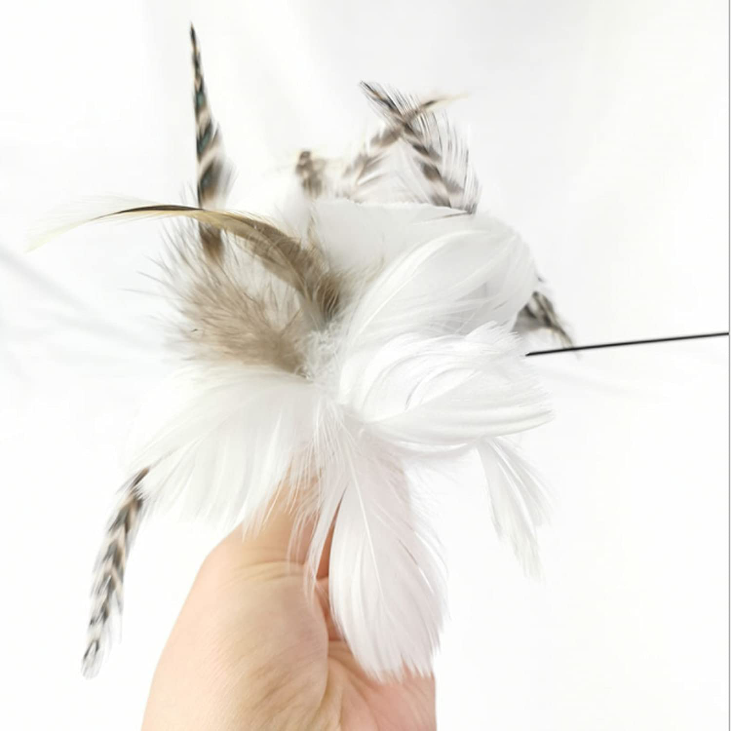 Cat Toys for Indoor Cats | Cat Feather Toys with the Upgraded Suction Cup | Real Feather (NOT Artificial) Animals & Pet Supplies > Pet Supplies > Cat Supplies > Cat Toys BearDot   