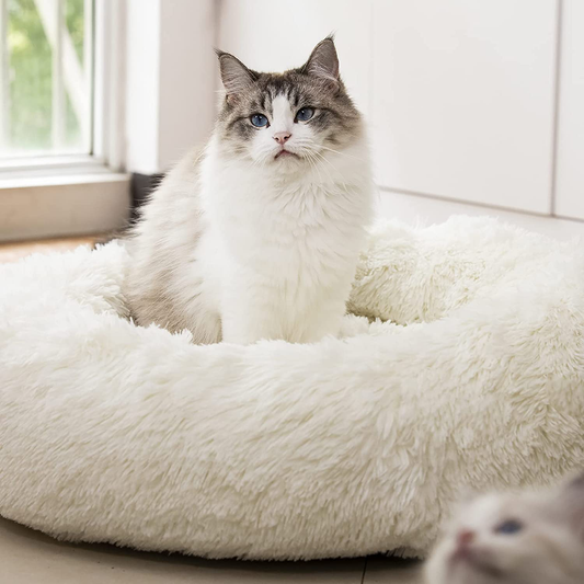 Raimaiso anti Anxiety round Fluffy Plush Faux Fur Warm Washable Dog Bed & Cat Bed, Original Bed for Small Medium Large Pets,Used to Relieve Joints and Improve Sleep（20"/24"/27''） Animals & Pet Supplies > Pet Supplies > Cat Supplies > Cat Beds Raimaiso white 24" 